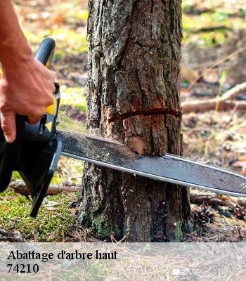 Abattage d'arbre haut