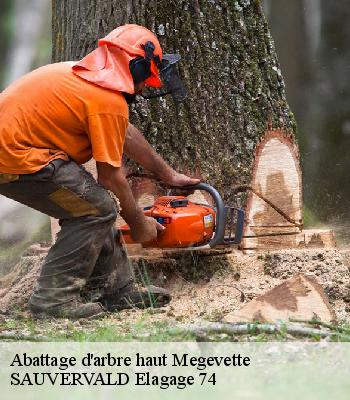 Abattage d'arbre haut