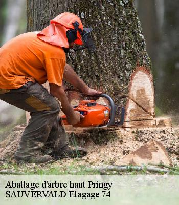 Abattage d'arbre haut