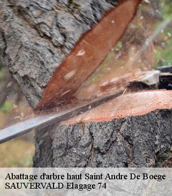 Abattage d'arbre haut