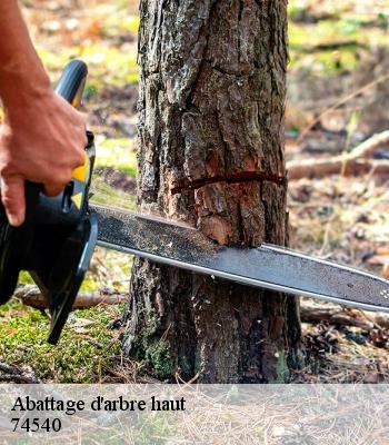 Abattage d'arbre haut