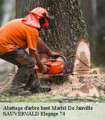 Abattage d'arbre haut