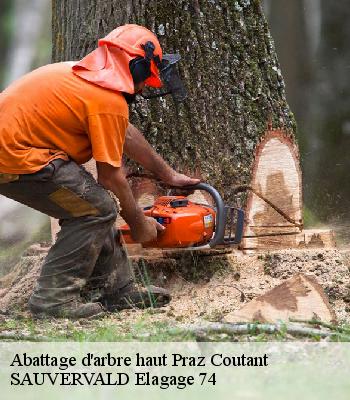 Abattage d'arbre haut