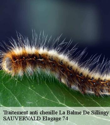 Traitement anti chenille
