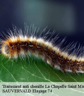 Traitement anti chenille