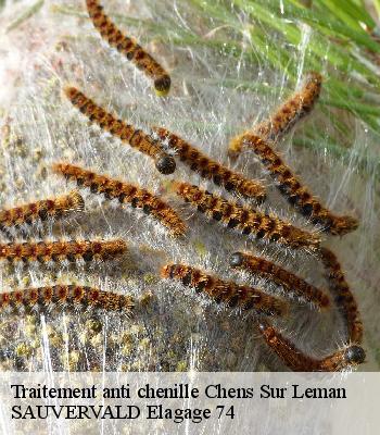 Traitement anti chenille