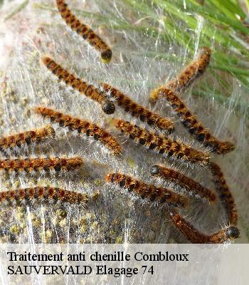 Traitement anti chenille