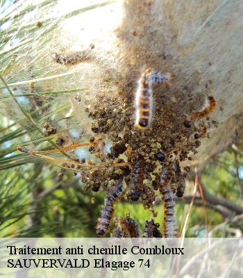 Traitement anti chenille