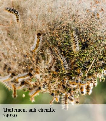 Traitement anti chenille