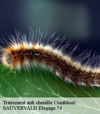 Traitement anti chenille