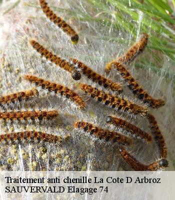 Traitement anti chenille