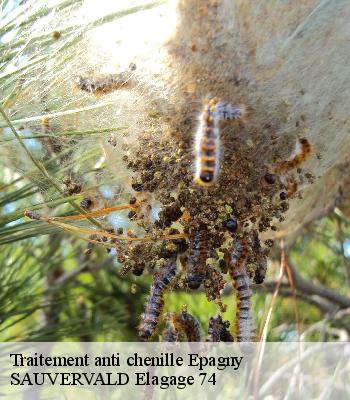 Traitement anti chenille
