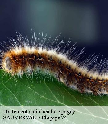 Traitement anti chenille