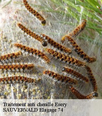 Traitement anti chenille