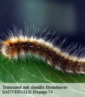 Traitement anti chenille