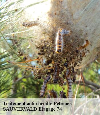 Traitement anti chenille