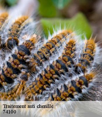 Traitement anti chenille