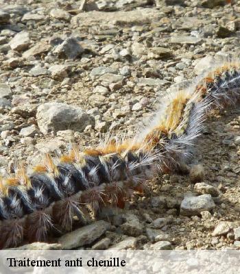 Traitement anti chenille