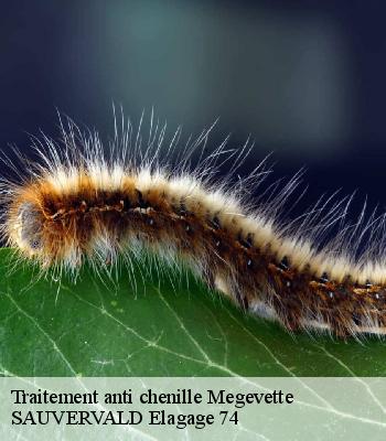 Traitement anti chenille