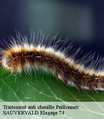 Traitement anti chenille