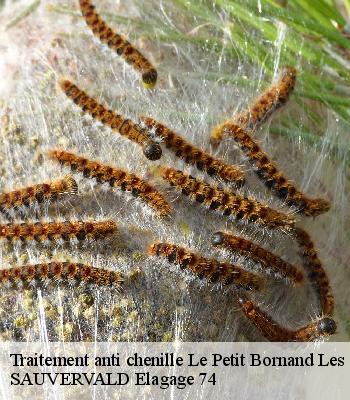 Traitement anti chenille