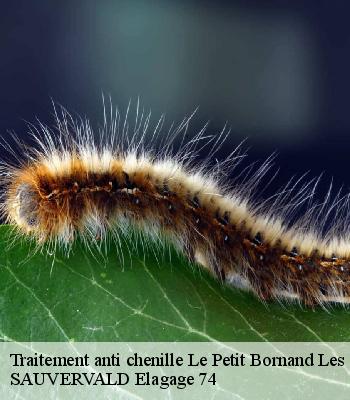 Traitement anti chenille