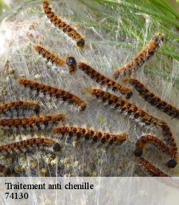 Traitement anti chenille