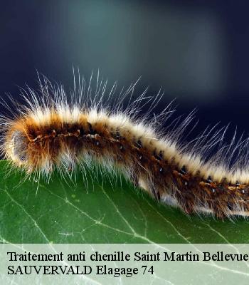Traitement anti chenille