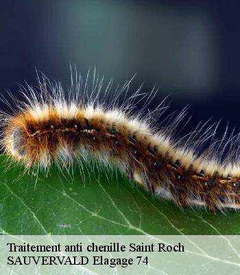 Traitement anti chenille