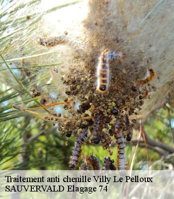 Traitement anti chenille