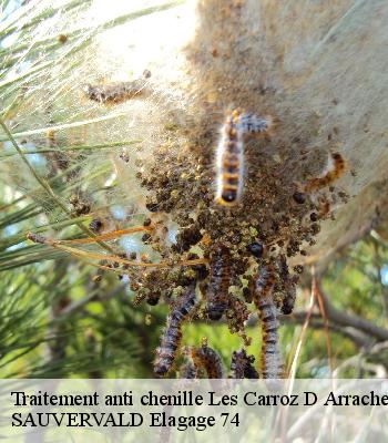 Traitement anti chenille