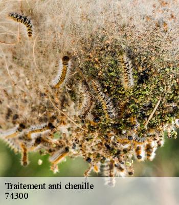 Traitement anti chenille