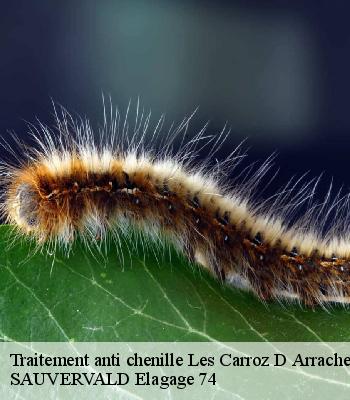 Traitement anti chenille