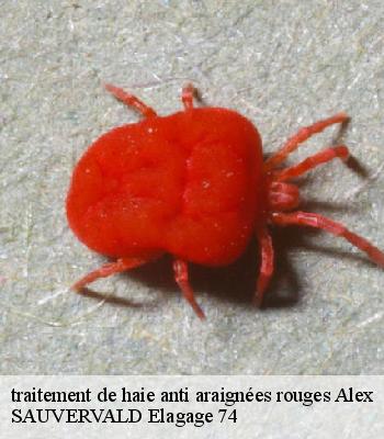 traitement de haie anti araignées rouges