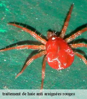 traitement de haie anti araignées rouges
