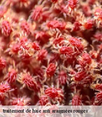 traitement de haie anti araignées rouges