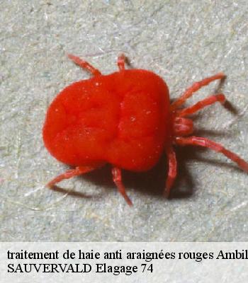 traitement de haie anti araignées rouges