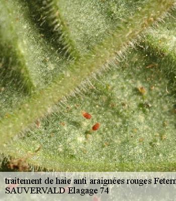 traitement de haie anti araignées rouges