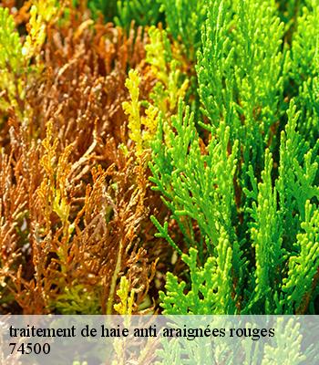 traitement de haie anti araignées rouges