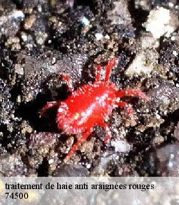 traitement de haie anti araignées rouges