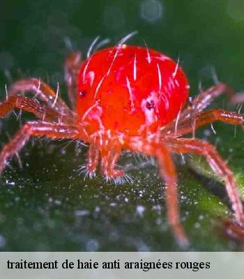 traitement de haie anti araignées rouges