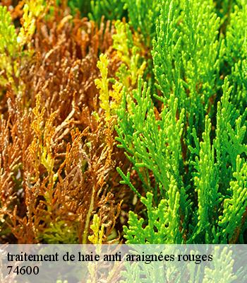 traitement de haie anti araignées rouges
