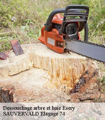 Dessouchage arbre et haie