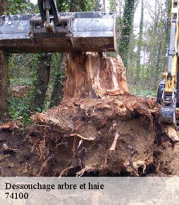 Dessouchage arbre et haie