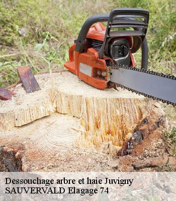 Dessouchage arbre et haie