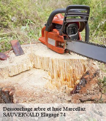 Dessouchage arbre et haie