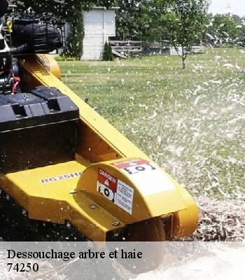 Dessouchage arbre et haie
