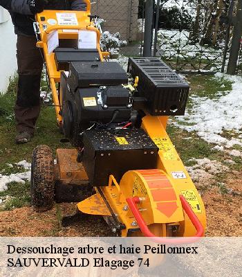 Dessouchage arbre et haie