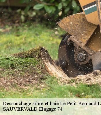 Dessouchage arbre et haie