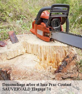 Dessouchage arbre et haie